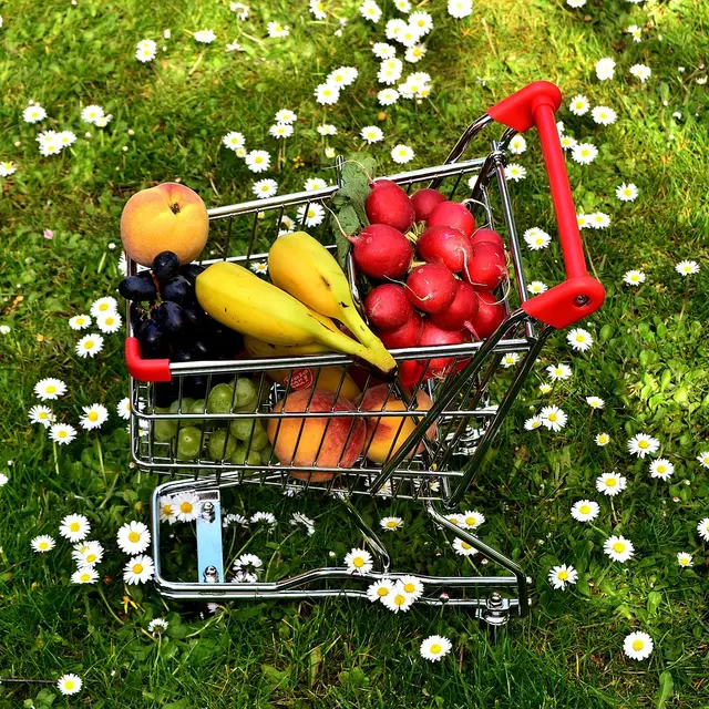 Epicerie Caddie Courses