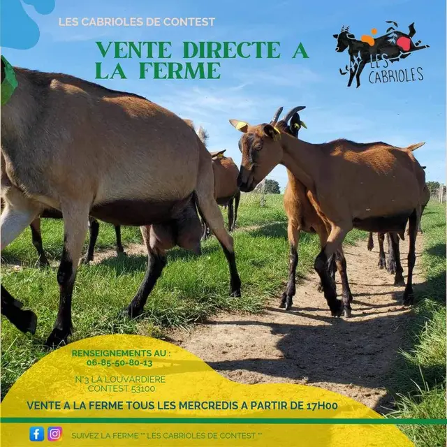 FB_IMG_1720726628171