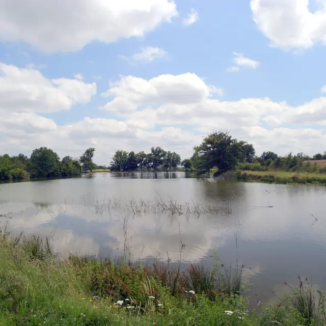 VIGNE ET ETANGS DE LA MORINIERE