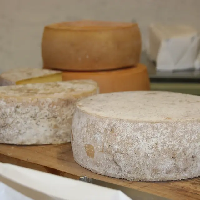 Ferme fromagère du Pays de Pail