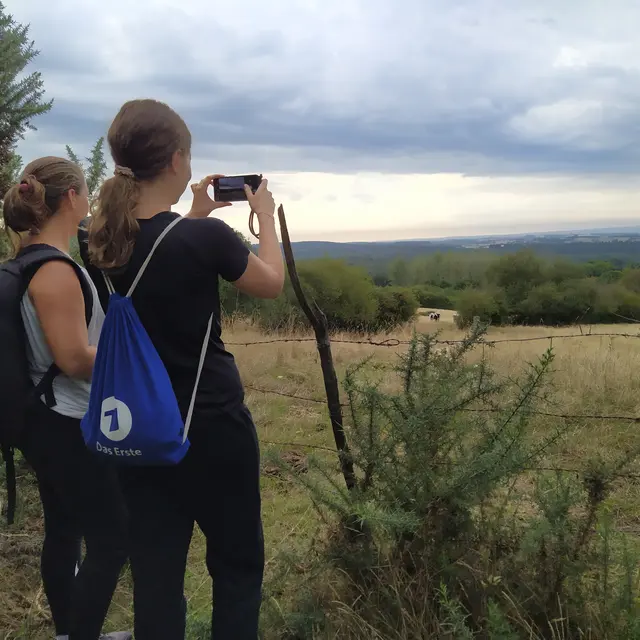 Sur les hauteurs de Crennes-sur-Fraubée
