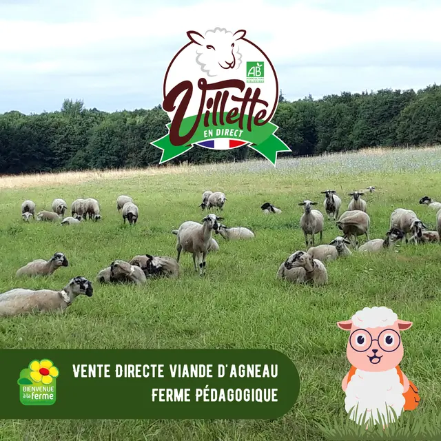 Villette en Direct 1