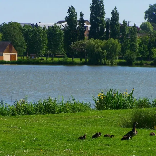 LOI-base-de-loisirs-la-chesnaie-5