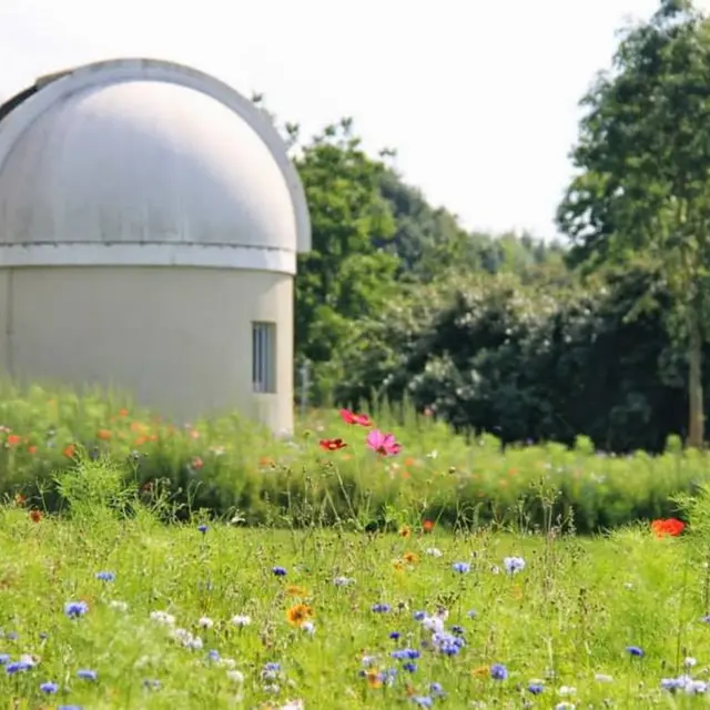 LOI-observatoire-M53-03