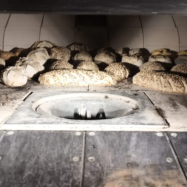 La Patte du talemelier à St Pierre- Orthe