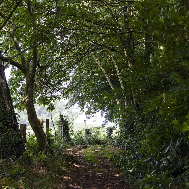 Montaudin-Pihoraye-Bocage-Mayennais-Tourisme--6-