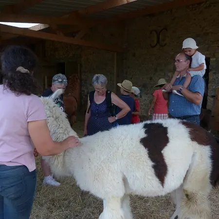 PROD53 ferme kerla