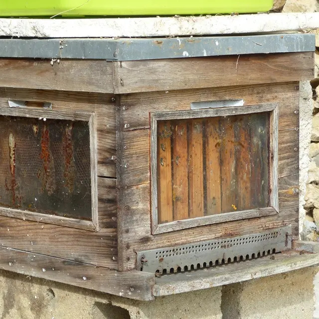 PROD53ruches ferme aux abeilles(3) redimensionné