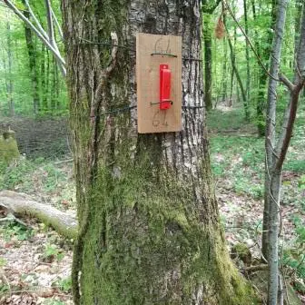 Parcours d'orientation en mayenne