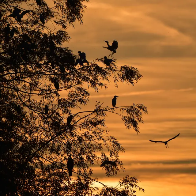 Au crépuscule