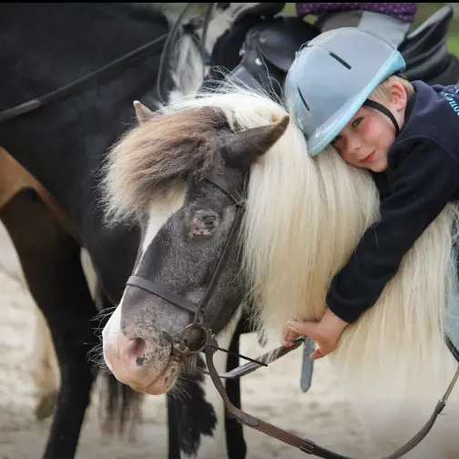 Poney Club du Boulay