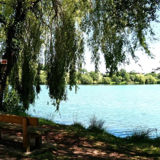 Plan d'eau Changé 2021 4 ©Marjorie Baron