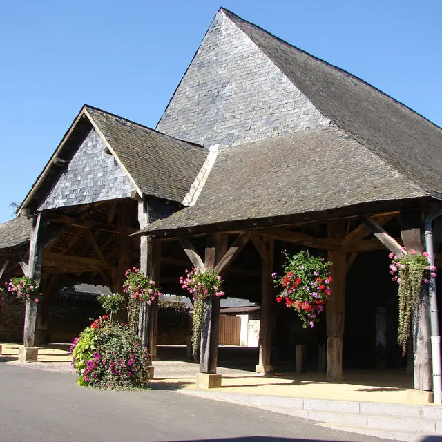 Saint-Denis-d-Anjou_17897_Les-halles-de-1509