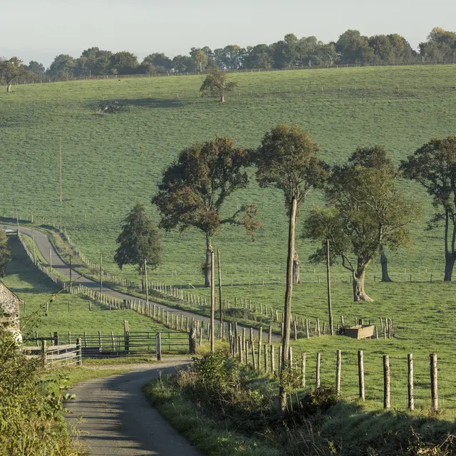 Torce-Viviers-004---CP-P