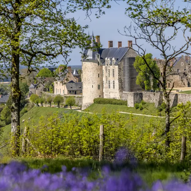 Vue de Ste Suzanne - Fabien Chéré