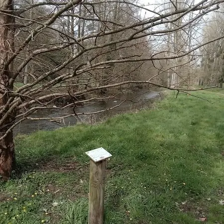 arbretum de Montsûrs