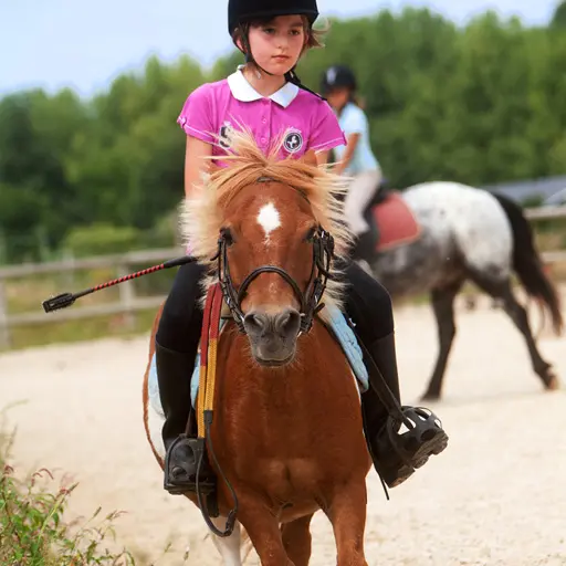 centre-equestre-ambrieres-les-vallees-53-asc-1