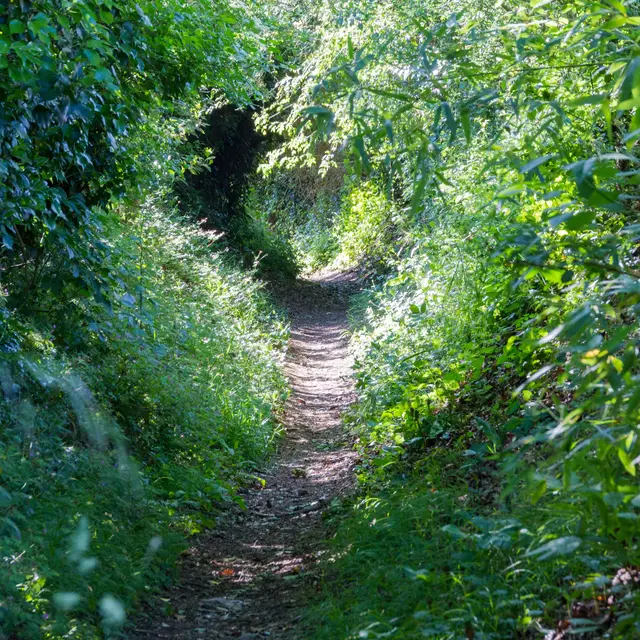 crédit FFRandonnée Mayenne