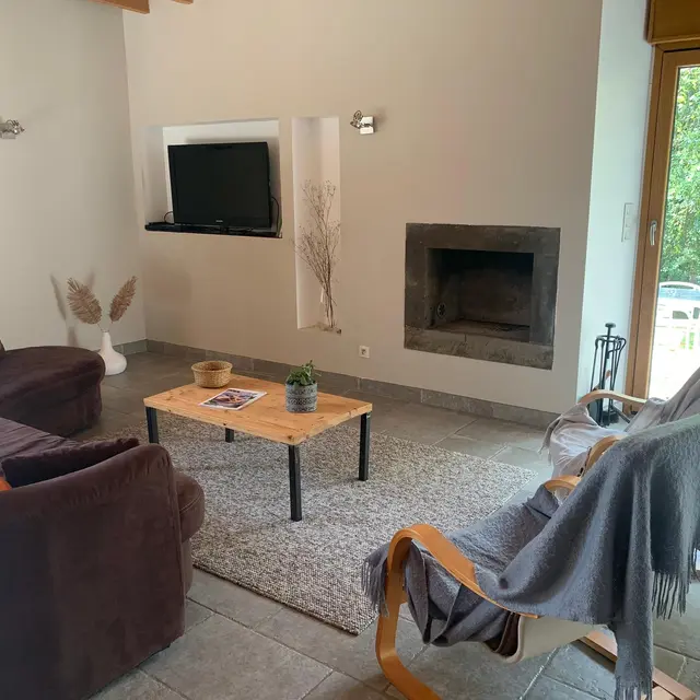 Salon et sa cheminée