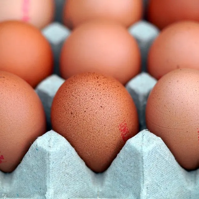eggs-7570512_1280