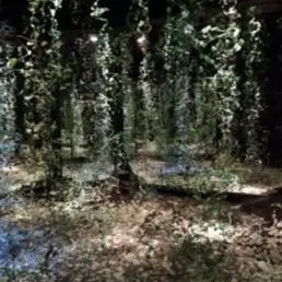 expo été au gARage