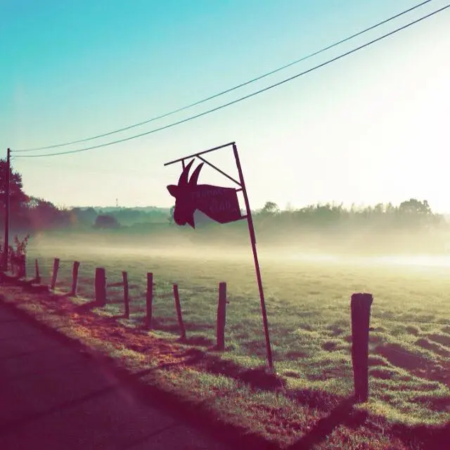 ferme painchaud 1