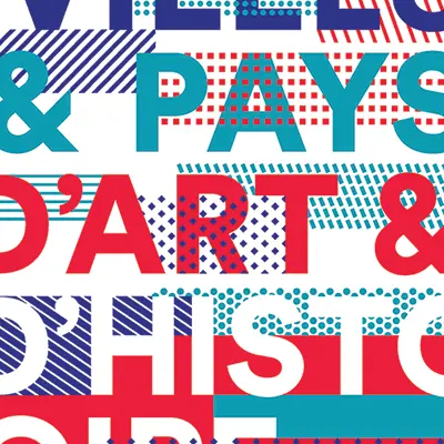 PCU53 -logo du réseau Villes et PAH