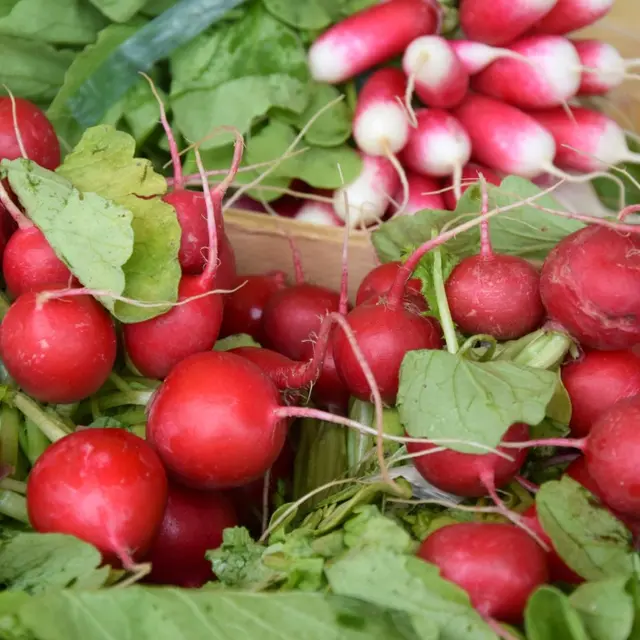 marche-jeudi-matin (9)