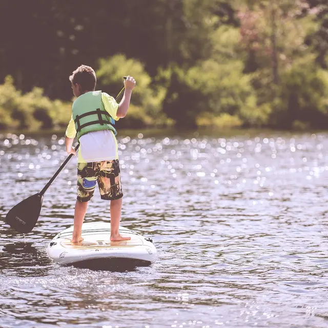 paddle - pixabay