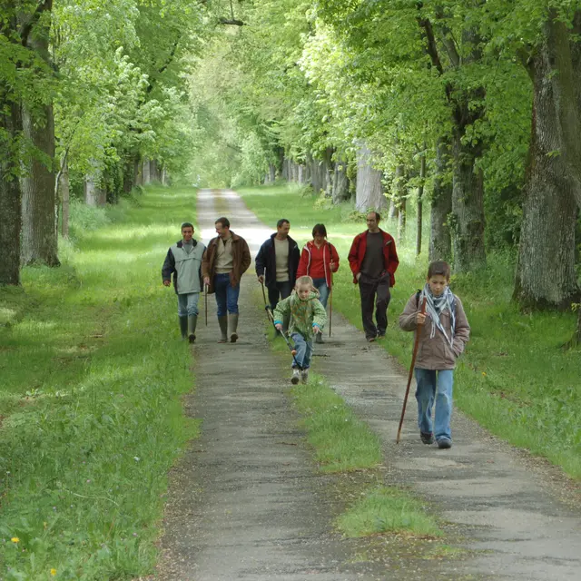 ITI53 - pédestres - famille