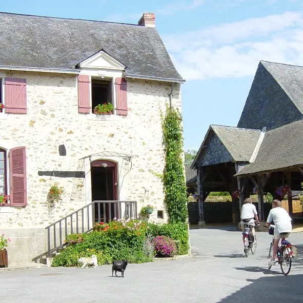 saint-denis-d-anjou (19)