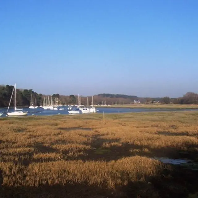 Rives du Vincin Vannes Morbihan Bretagne Sud