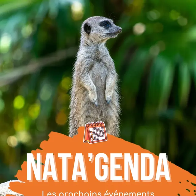 Nata'genda