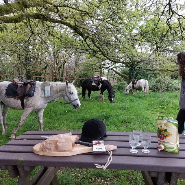 491830644_122157493316504313_856239036409825660_n