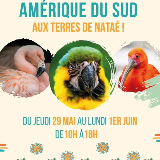 Weekend Amérique du Sud
