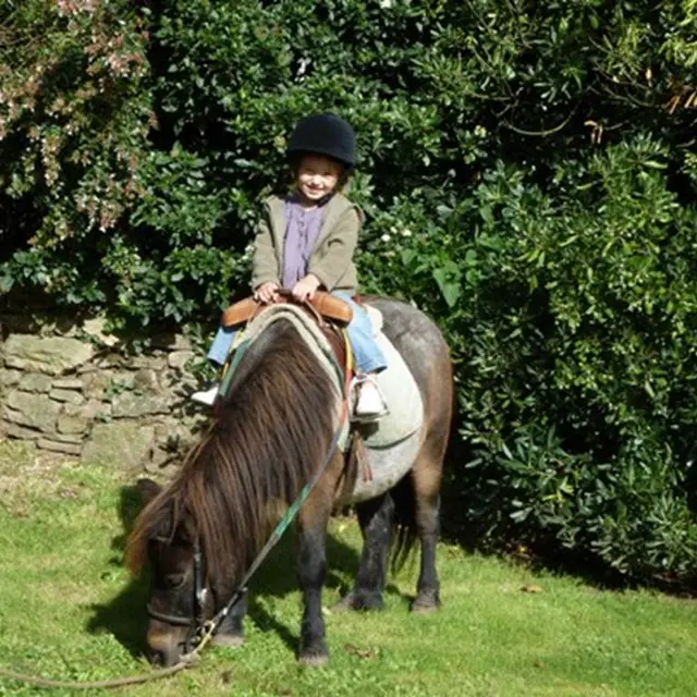 Centre équestre de Kerlarno Marzan - Poney