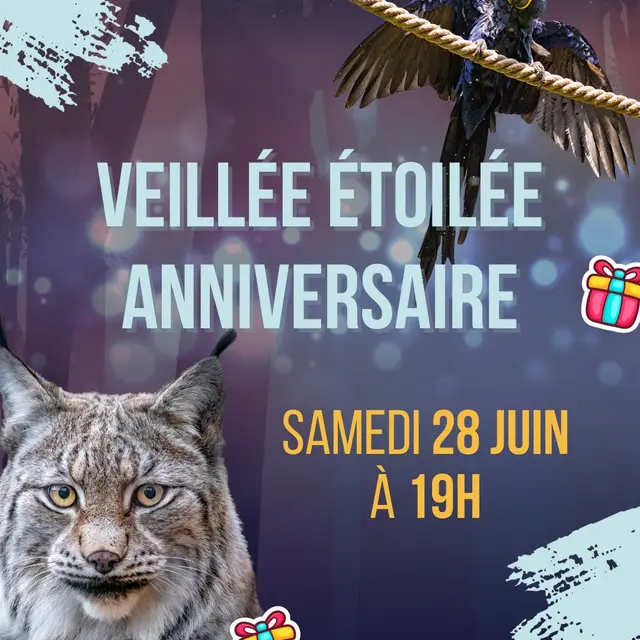 Veillée étoilée