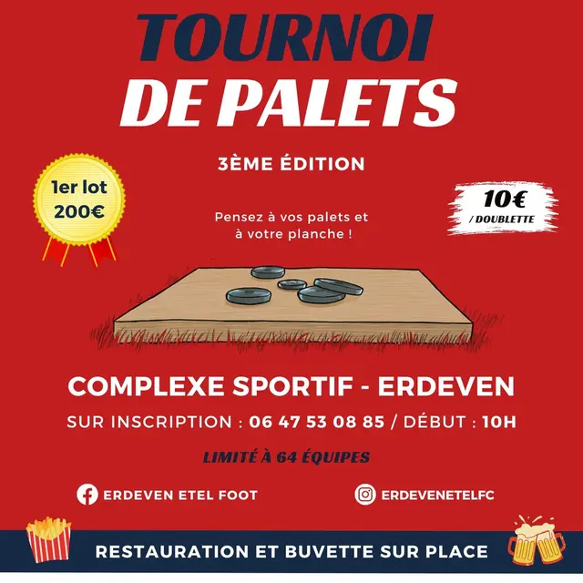 Tournoi de palets