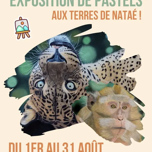 Exposition de pastels