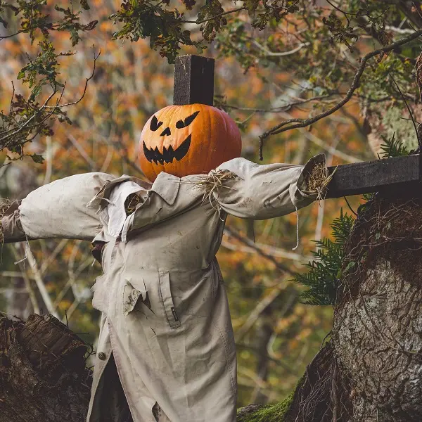 Fêtedelasorcière_CentreArthurien_Comper_Concoret_DestinationBrocéliande