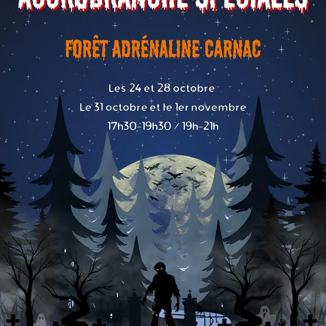 Accrobranche spéciales