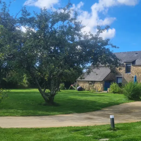 56G11983_541_1200(3)