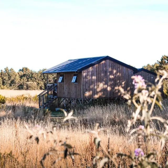 56G161136_800_1200(1)