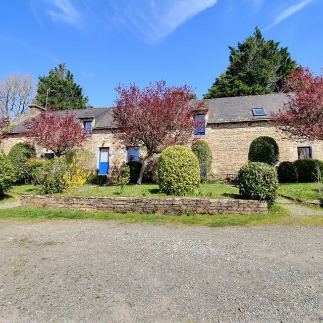 56G17763_800_1200(20)