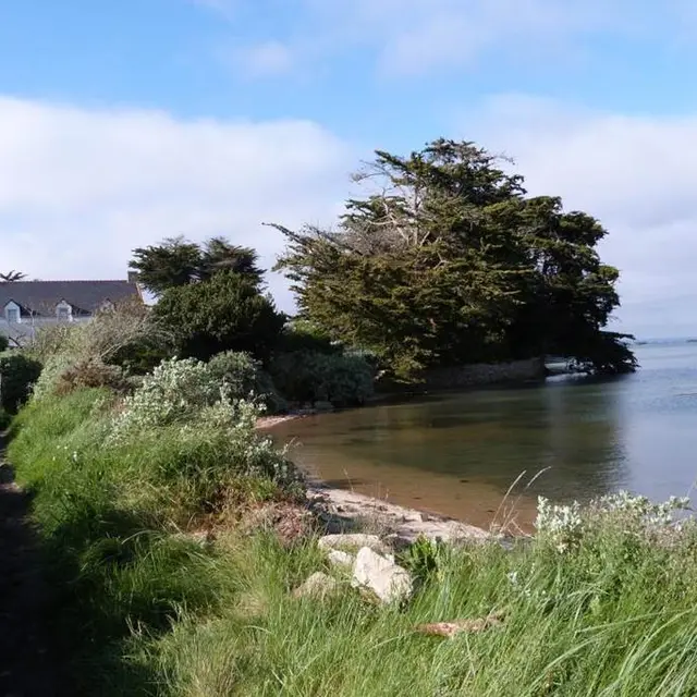 LA TERRE - Gîte N°56G24027 – SARZEAU – Morbihan Bretagne Sud