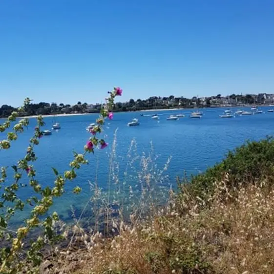 saint-philibert-morbihan-bretagne-sud