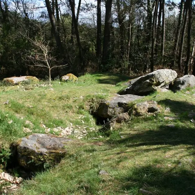 Bois de Toulvern - Dolmen - Baden - Morbihan Bretagne sud