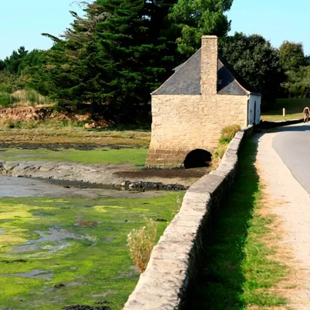 Marais La Villeneuve - Le Hézo - Morbihan Bretagne Sud