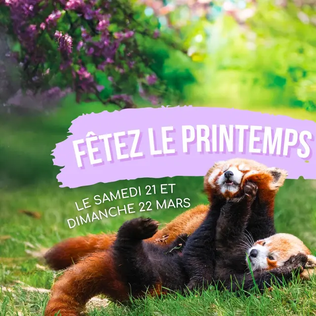 Fêtez le printemps