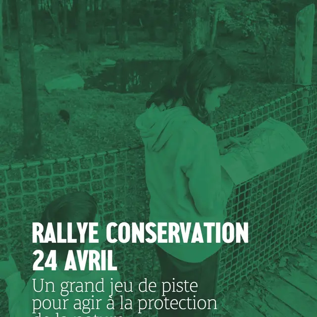 Rallye conservation